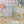 Bunnies in the Garden Magnetic Dress Up